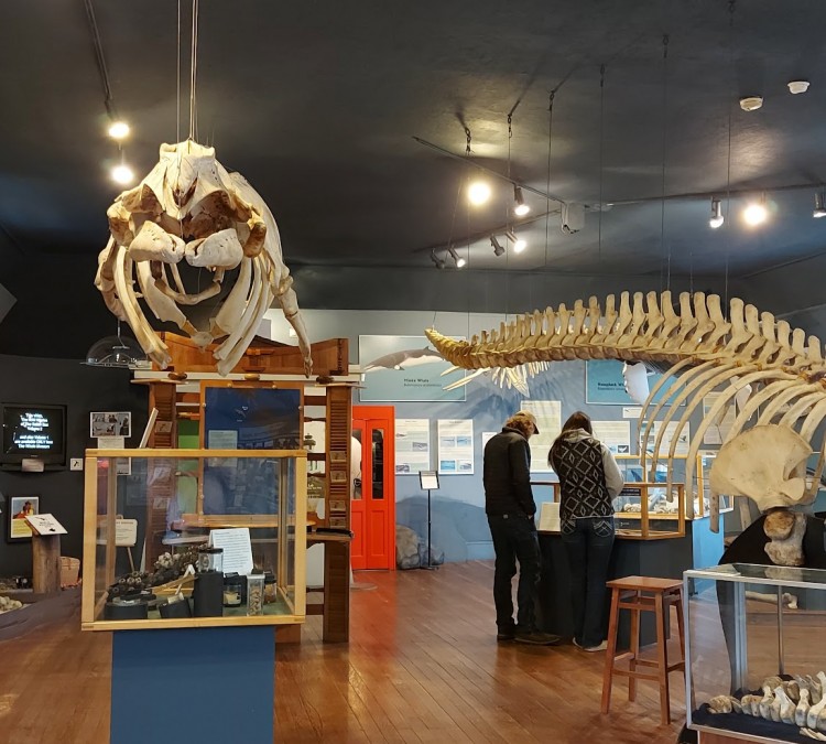 The Whale Museum (Friday&nbspHarbor,&nbspWA)